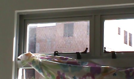 Dua teman-teman berbagi penis video boke gratis