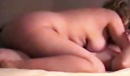 Secara bokep situs gratis Ajaib Miniatur Dahlia Kami