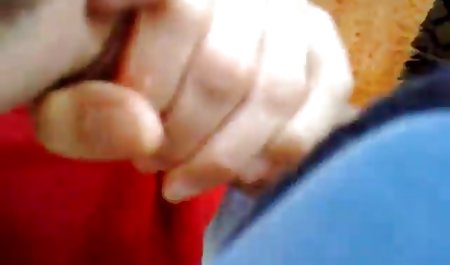 Laura bokep gratis terbaru lion digunakan untuk bersenang-senang