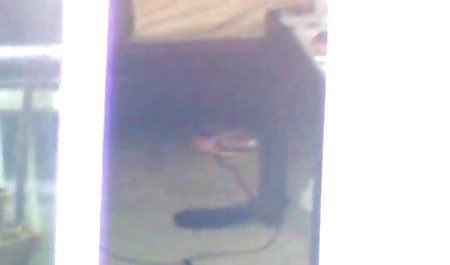 Nerd jika Dolly mendapat bokep korea gratis bercinta dengan dia